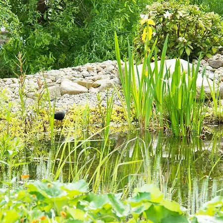 Schlossblick فندق Trebsen