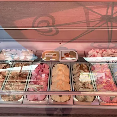 Schlossblick Trebsen